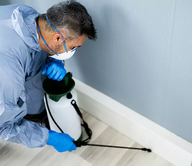Reliable Termite Cost Experts in Mableton, GA