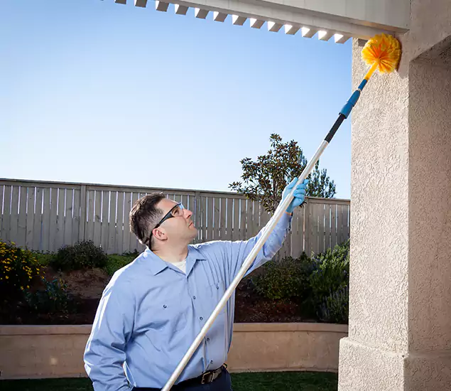 Your Trusted Wasp Removal Company in Mableton, GA