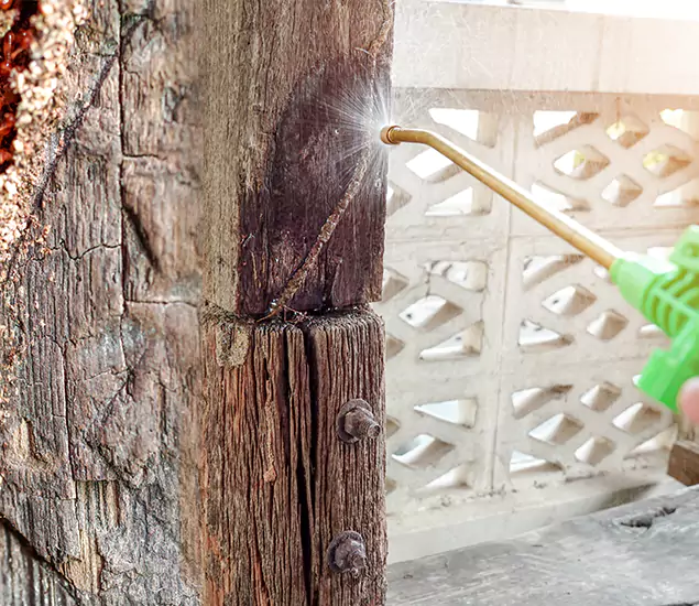 About Wood Termite Treatment Services in Mableton, GA