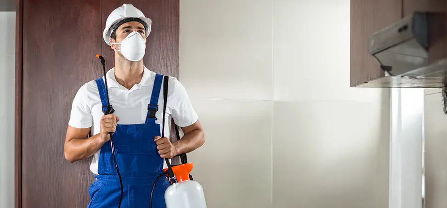 Per Room Bed Bug Cost in Mableton