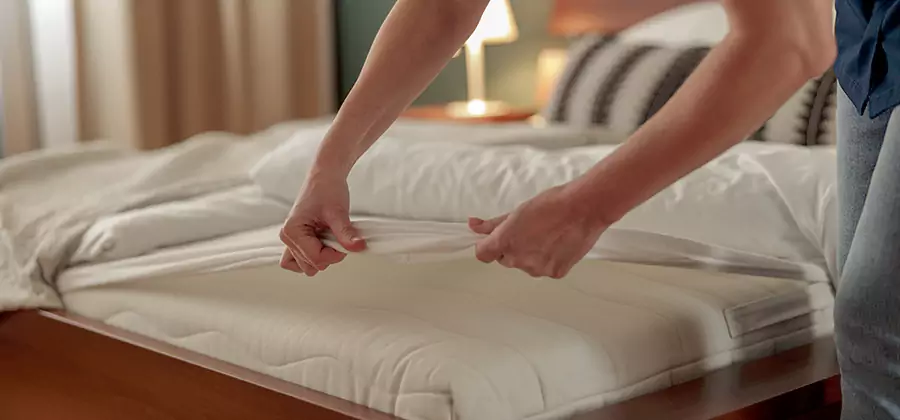 Bed Bug Extermination Services in Mableton