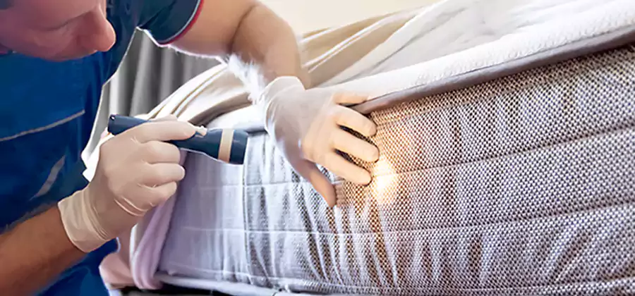 Residential Bed Bug Treatment Cost in Mableton