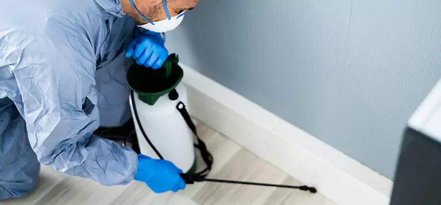 Fumigate Apartment Roaches in Mableton