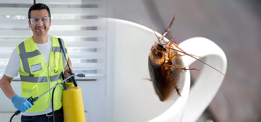 German Roach Infestation Treatment Mableton