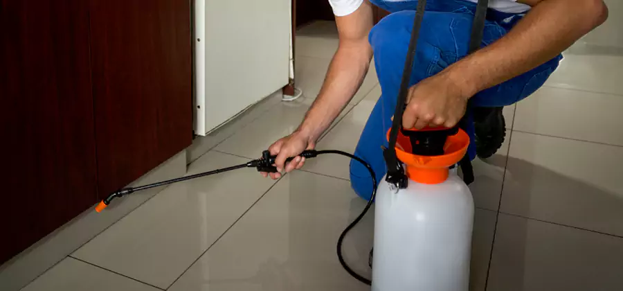 Indoor Mosquito Treatment in Mableton