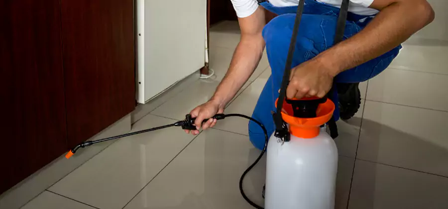Indoor Insect Killer Solutions in Mableton