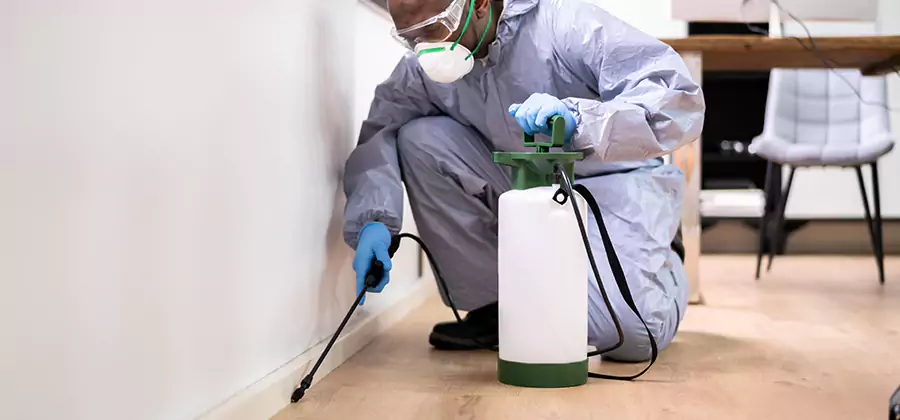 Long Lasting Mosquito Treatment in Mableton