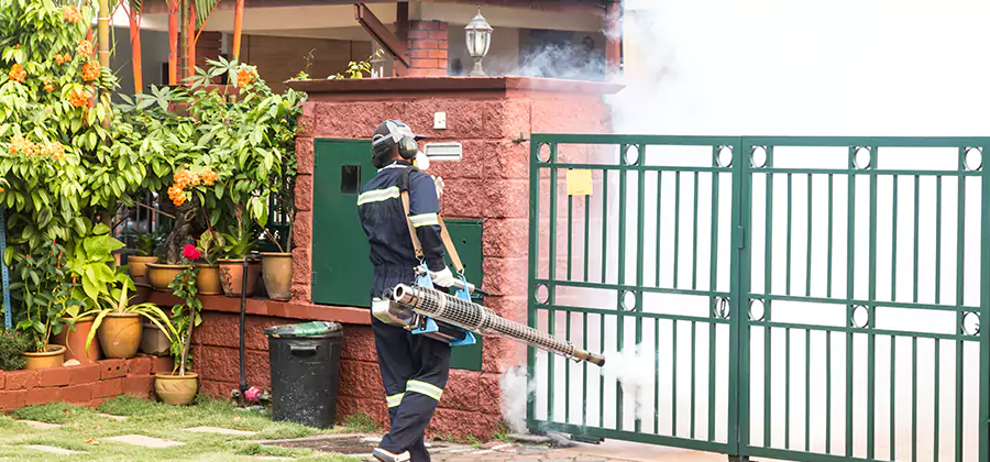 Backyard Mosquito Foggers Service in Mableton