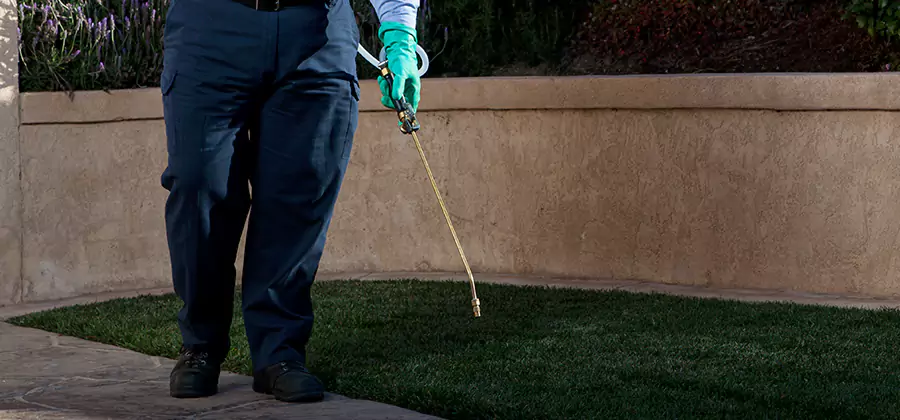 Soil Treatment for New Construction Termites in Mableton