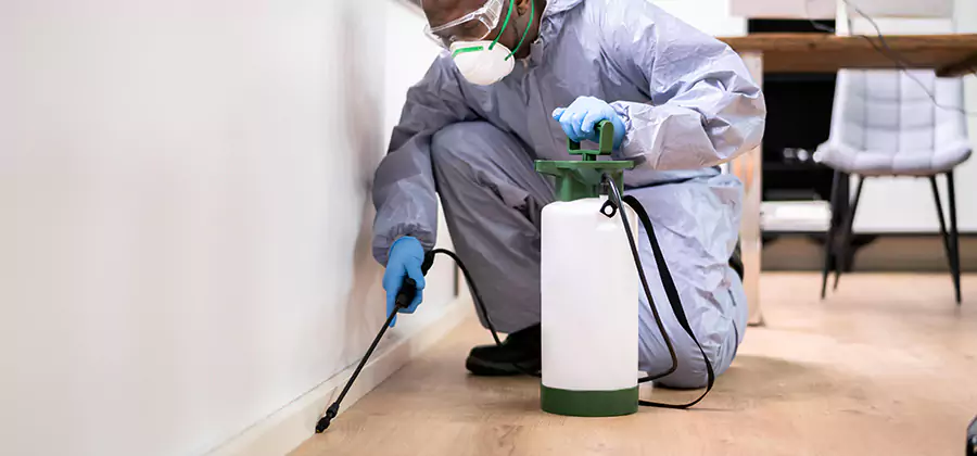 No Tent Termite Extermination With Electric Tool in Mableton