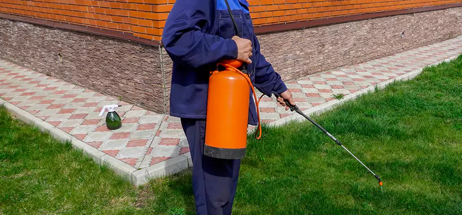 Non Toxic Termite Treatment in Mableton