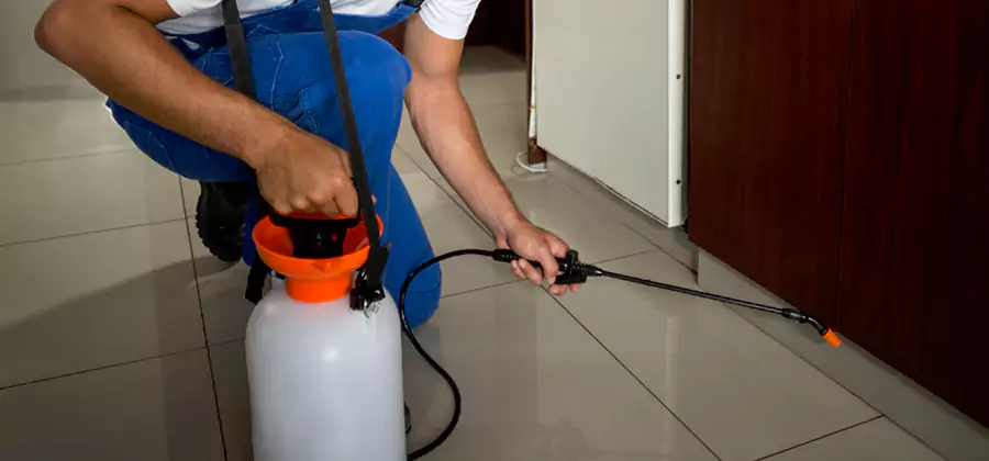 One Time Termite Control in Mableton