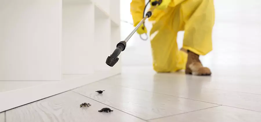 Roach and Bed Bug Exterminator in Mableton