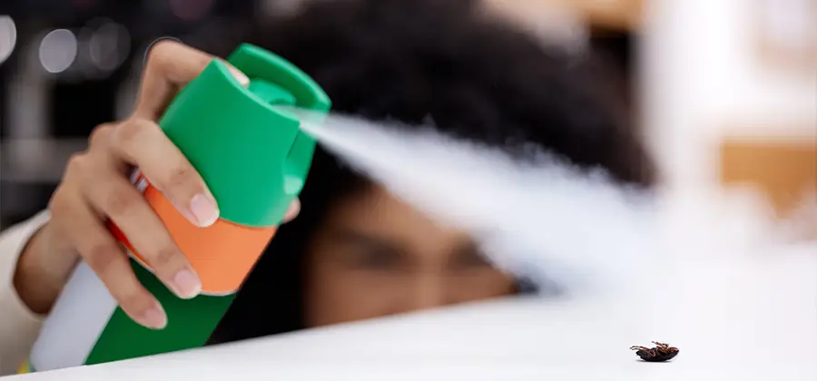 Child Safe Bed Bug Treatment in Mableton
