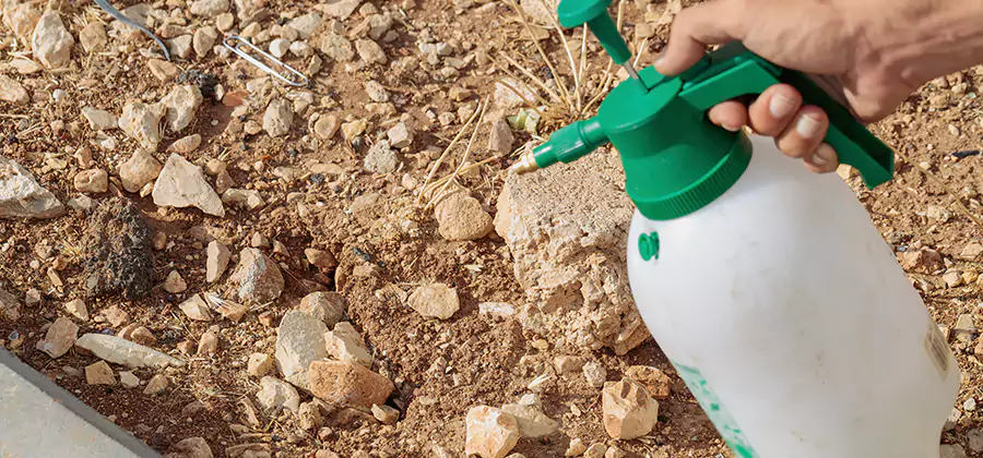Heat Treatment Termite Cost in Mableton