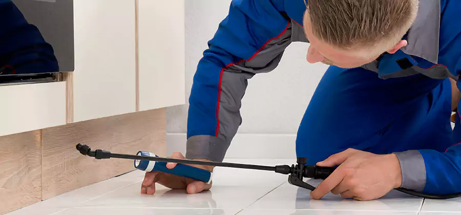 Moisture Treatment For Termite Control Service in Mableton