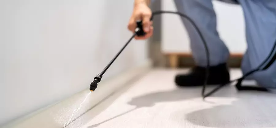 Direct Termite Injection Treatment in Mableton