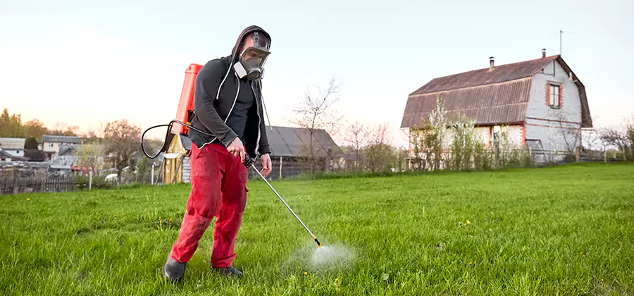 Flea and Tick Pest Control in Mableton