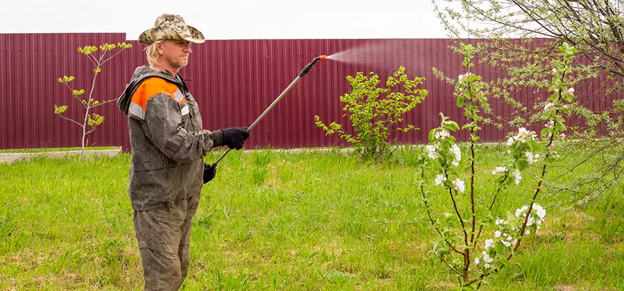 Flea and Tick Spray for Yard in Mableton
