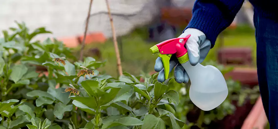 Yellow Jacket Pest Removal for Commercial Properties in Mableton