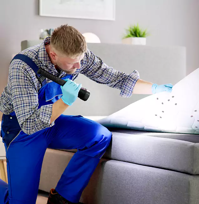 Why Choose Mableton Pest Control Pro for Bed Bug Exterminator Cost in Mableton, GA?