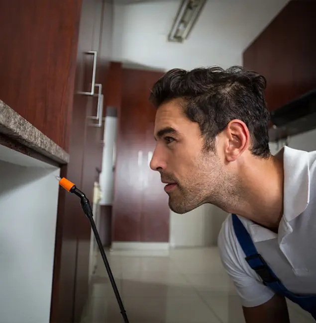 Why Choose Mableton Pest Control Pro for Bed Bug Removal Cost in Mableton, GA?