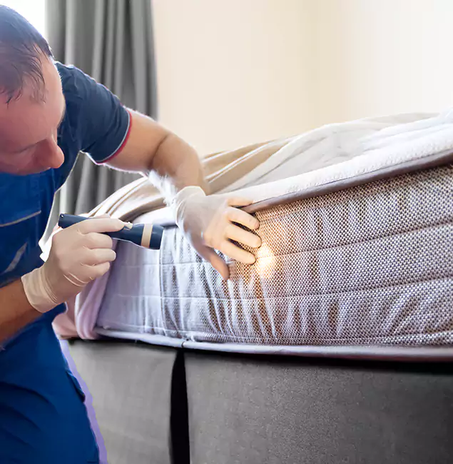 Why Choose Mableton Pest Control Pro for Bed Bug Services in Mableton, GA?