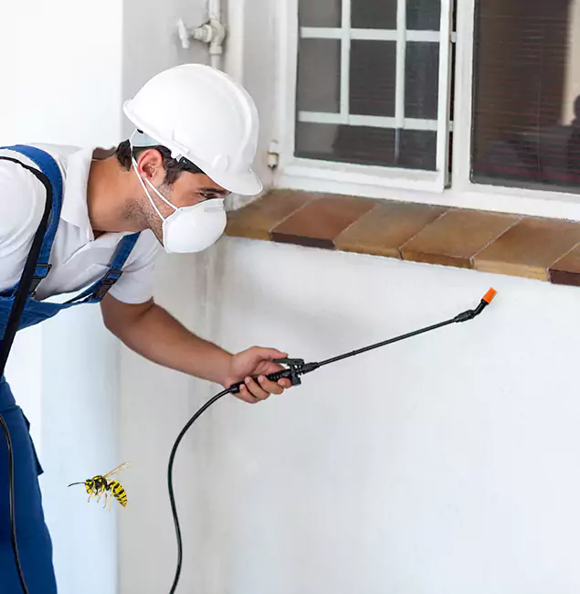 Why Mableton Property Owners Choose Mableton Pest Control Pro for Bee Nest Removal?