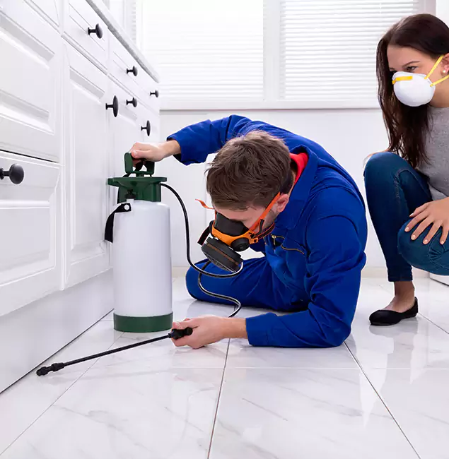 Why Choose Mableton Pest Control Pro in Mableton, GA?