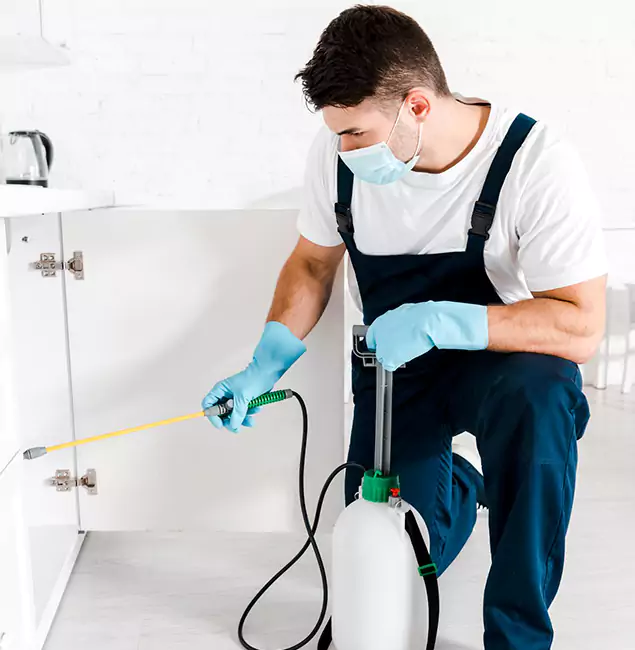 Why Choose Mableton Pest Control Pro for Emergency Pest Control in Mableton?