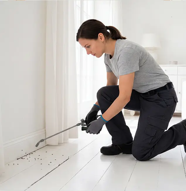 Why Mableton, GA Property Owners Trust Mableton Pest Control Pro for Fire Ant Control?