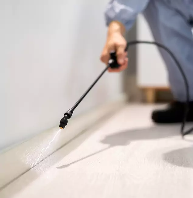 Why Choose Mableton Pest Control Pro for Termite Treatment in Mableton, GA?