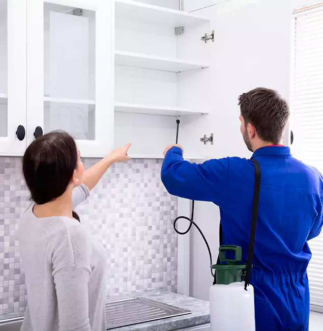 Why Mableton Property Owners Choose Mableton Pest Control Pro for Ground Bee Removal?