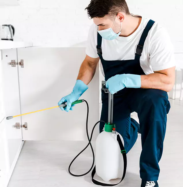 Why Choose Mableton Pest Control Pro for Indoor Pest Control in Mableton, GA?