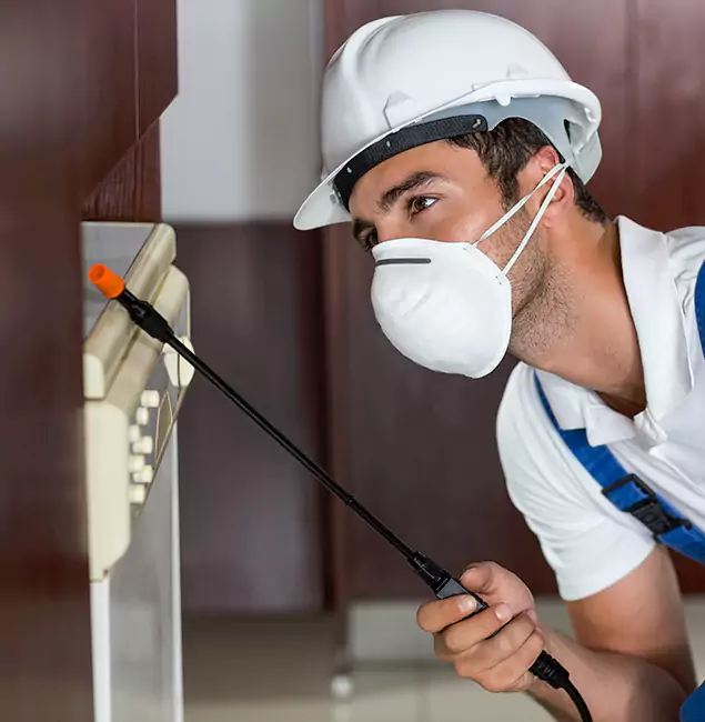 Why Mableton Homeowners Rely on Mableton Pest Control Pro for Tick Treatment?