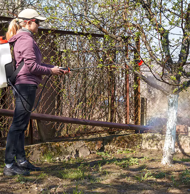 Why Mableton Homeowners Choose Mableton Pest Control Pro for Mosquito Abatement?