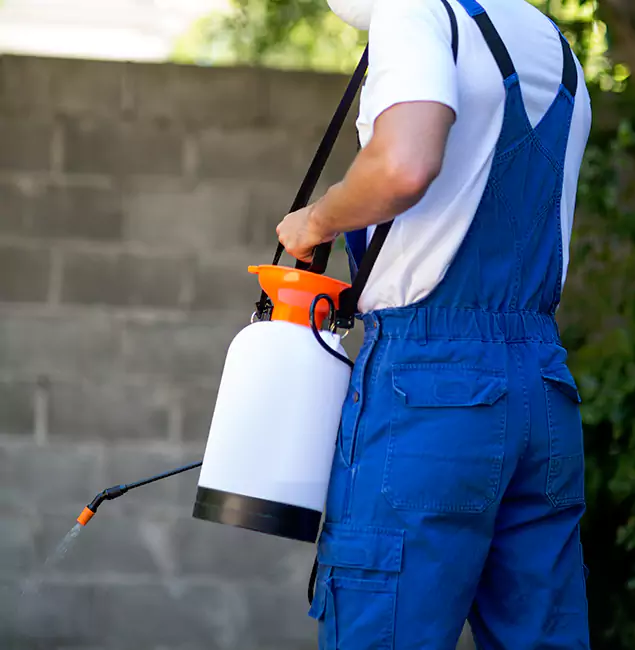 Why Mableton Homeowners Rely on Mableton Pest Control Pro for Mosquito Control?