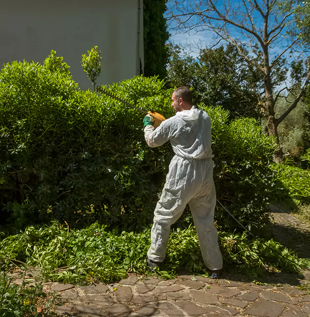 Why Mableton Pest Control Pro Leads Mosquito Control in Mableton, GA?