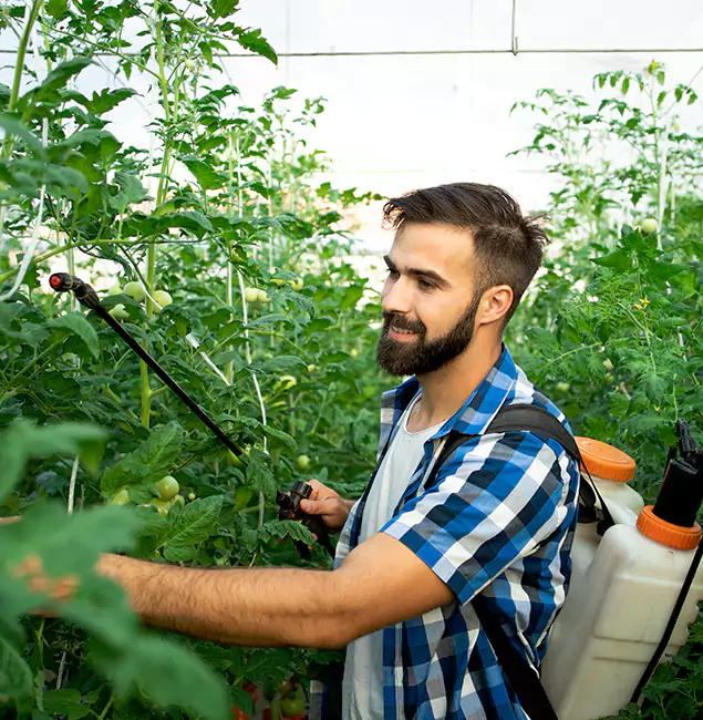 Why Mableton Homeowners Choose Mableton Pest Control Pro for Mosquito Spraying?