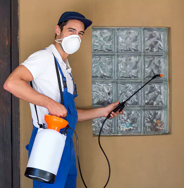 Why Mableton Pest Control Pro Provides the Best Mosquito Control for Yard Properties in Mableton, GA?