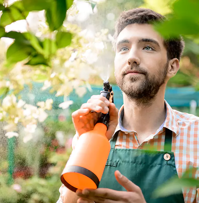 Why Mableton Homeowners Call Mableton Pest Control Pro for Mosquitoes in House?