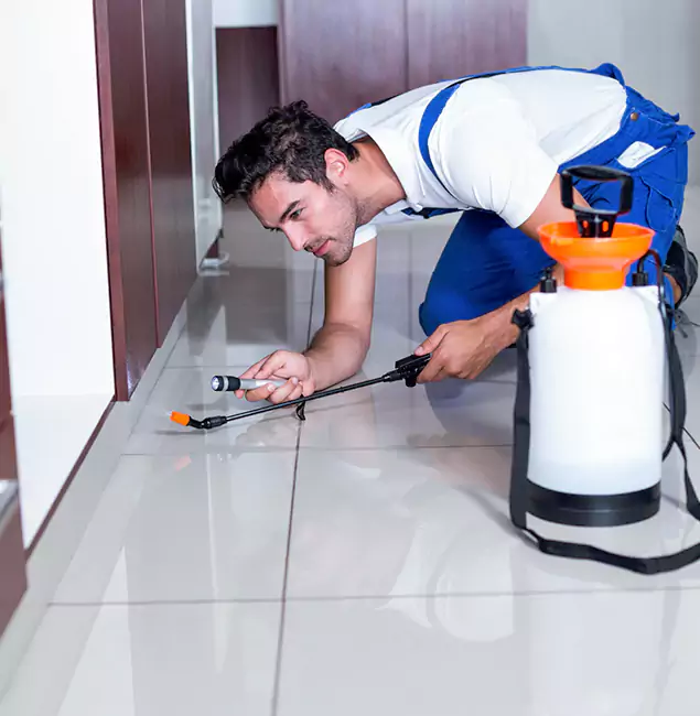 Why Mableton Pest Control Pro Is the Proven Choice in Mableton, GA?