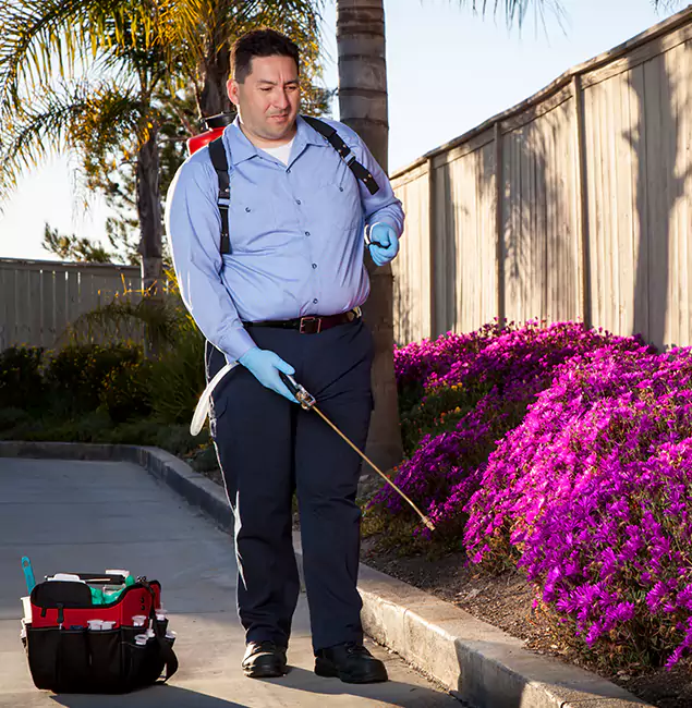 Why Choose Mableton Pest Control Pro in Mableton, GA?