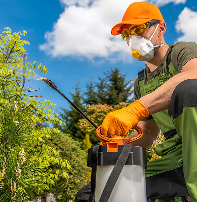 Why Choose Mableton Pest Control Pro for Outdoor Pest Control in Mableton, GA?