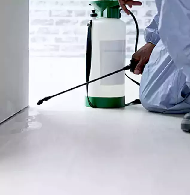 Why Choose Mableton Pest Control Pro for Rat Exterminator in Mableton, GA?