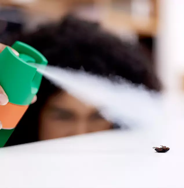 Why Mableton, GA Homeowners Choose Mableton Pest Control Pro for Roach Pest Control?