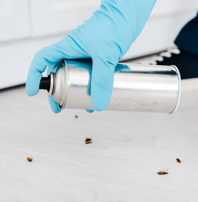 Why Choose Mableton Pest Control Pro for Safe Bed Bug Treatment in Mableton, GA?