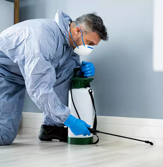 Why Choose Mableton Pest Control Pro for Subterranean Termites Treatment in Mableton, GA?