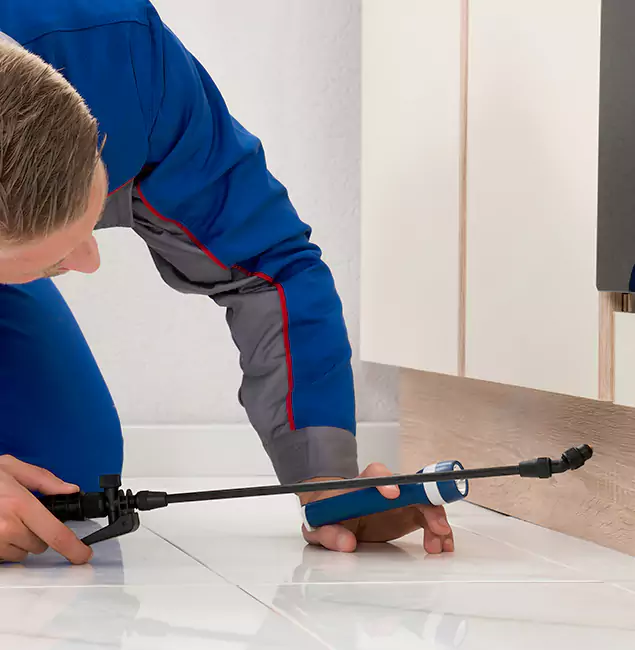 Why Mableton Residents Choose Mableton Pest Control Pro to Get Rid of Sugar Ants?