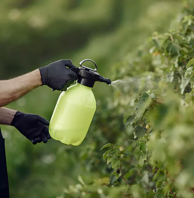 Why Mableton Homeowners Choose Mableton Pest Control Pro for Yard Tick Treatment?